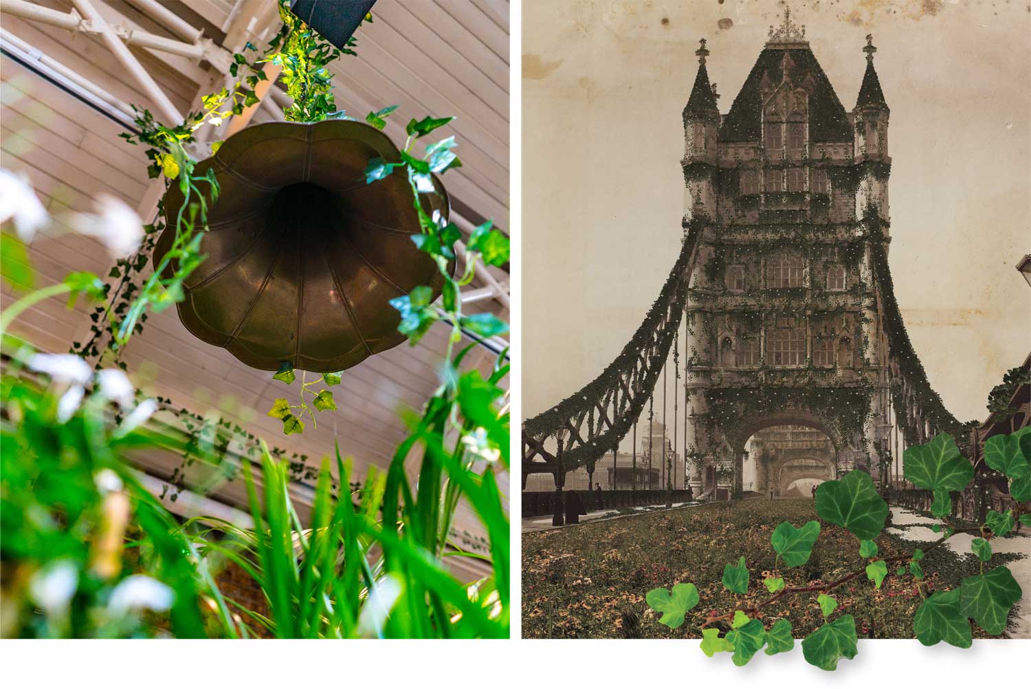 Left: Image of Victoria style food cans holding flowers. Right: Stylised image of Tower Bridge overgrown with flowers