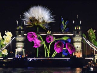 Tower Bridge at night with huge flowers superimposed around it