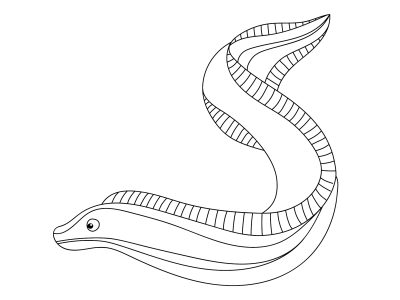 Eel