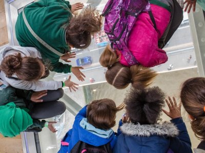 school glass floor