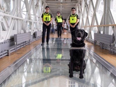 City of London Police dog - security