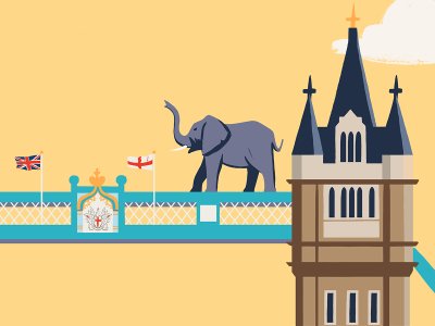 New campaign creative - Elephant