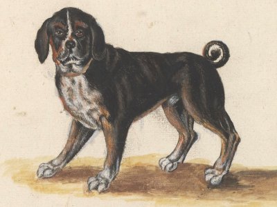 Anselmus Boëtius de Boodt/Wikimedia Commons