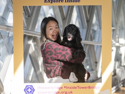 Dog-friendly Tower Bridge  Sightseeing With Your Dog