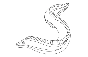 An animal with a long, smooth body and fins