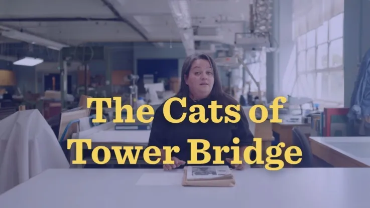 The Cats of Tower Bridge