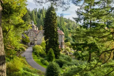 A sunny and green scene with a tree lined road leading up to a large old building.